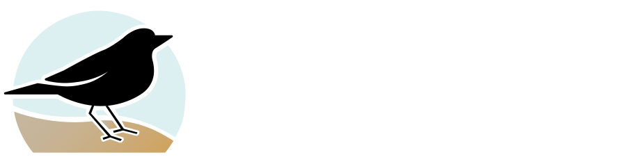 SingBetterwithCarolyn.com